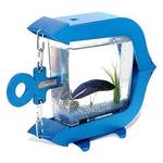 Comfish Aquarium