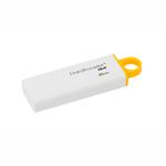 USB Flash Drive KINGSTON DTIG4/8GB