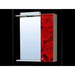 Oglinda cu dulap AM Dekor AM-Rosa Red  65 cm DR