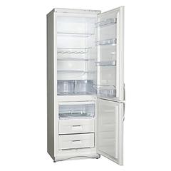 Холодильник SNAIGE RF-360.1801AA