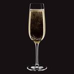 Набор фужеров для шампанского NADIR NR-7899